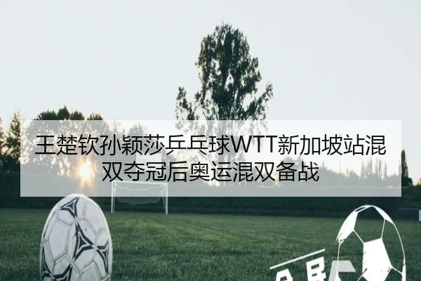 王楚钦孙颖莎乒乓球WTT新加坡站混双夺冠后奥运混双备战